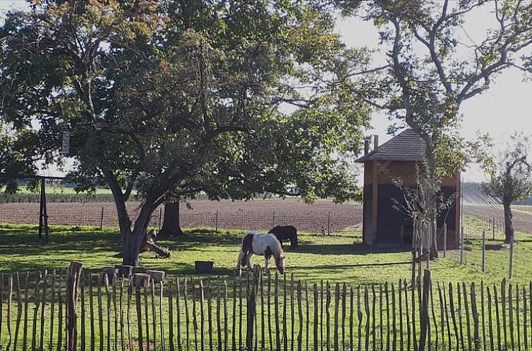 Vakantiehuisje in Nederweert_Eind