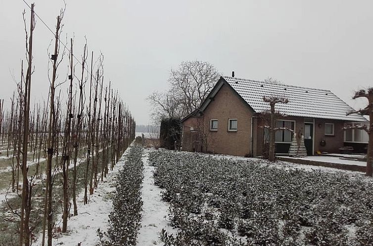 Vakantiehuisje in Nederweert_Eind