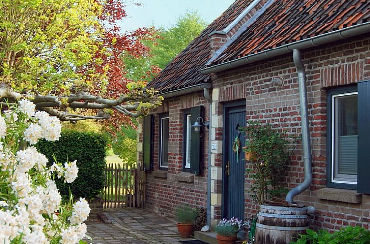 Cozy courtyard at Holiday Home in Lottum, North Limburg, with bench and flowering tree.