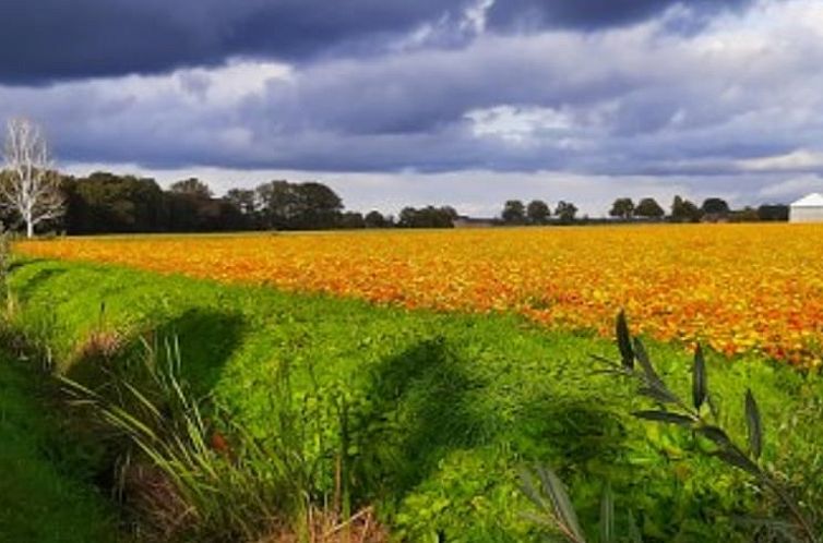 Vakantiehuisje in Lottum