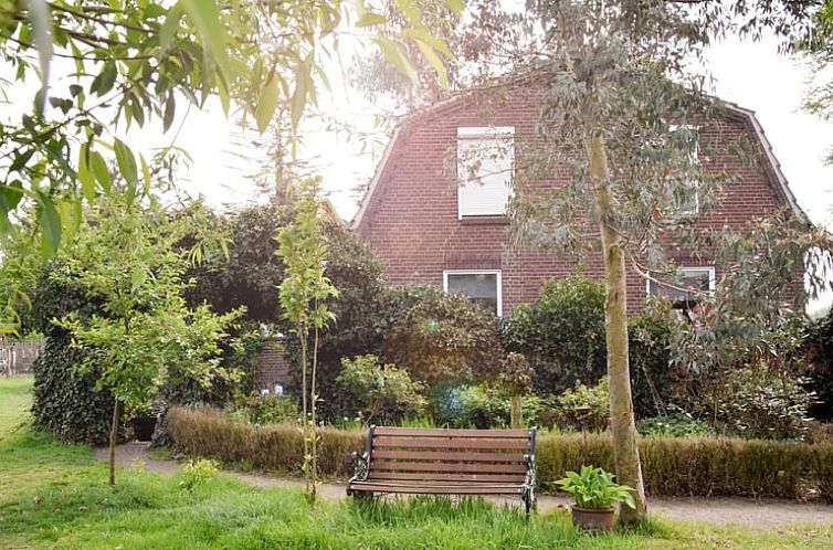 Huisje in Well, vakantiehuis in Noord Limburg omgeven door groen en rustieke charme.