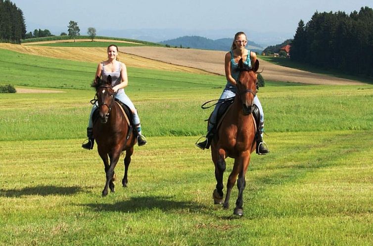 Sportpension Ramlhof