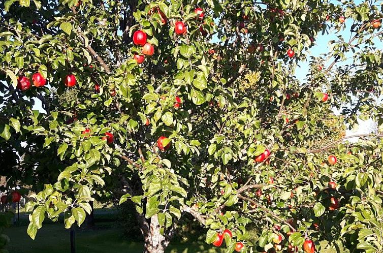 Långänge Bed & Breakfast