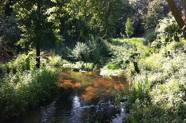 Vakantiehuis in Grubbenvorst