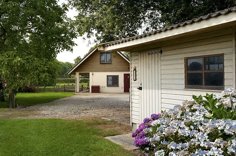 Huisje in Siebengewald