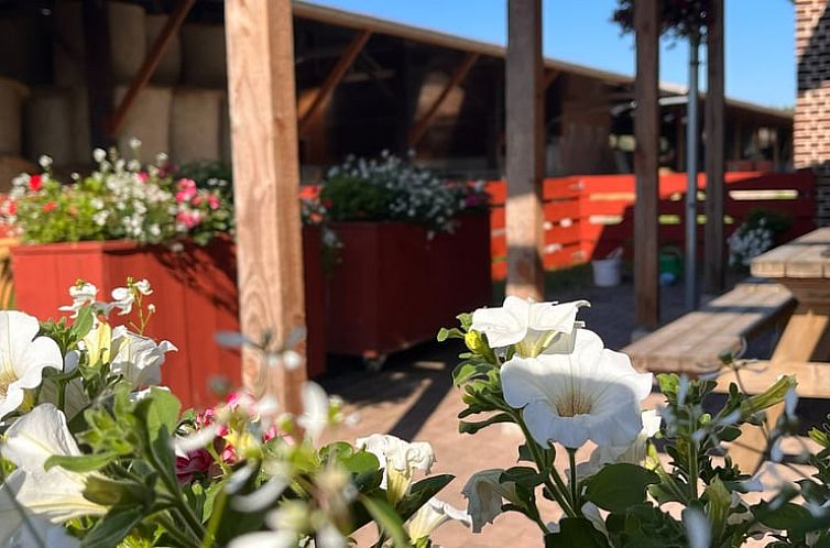 Vakantiehuisje in Roermond