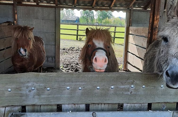 Vakantiehuisje in Sevenum