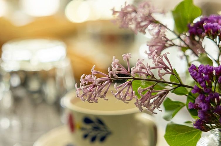 Vakantiehuisje in Baexem