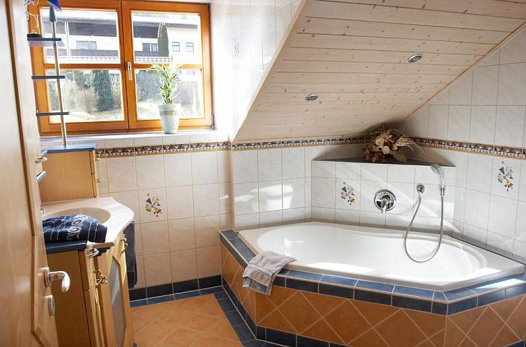Pension / Ferienwohnungen Ludwig