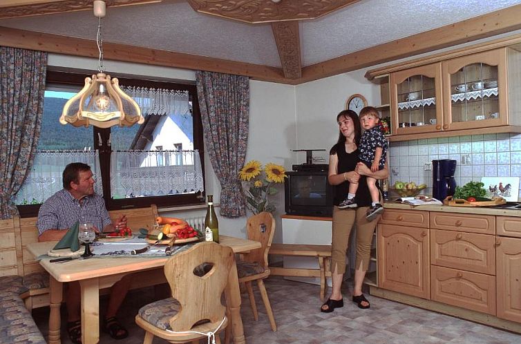 Pension / Ferienwohnungen Ludwig