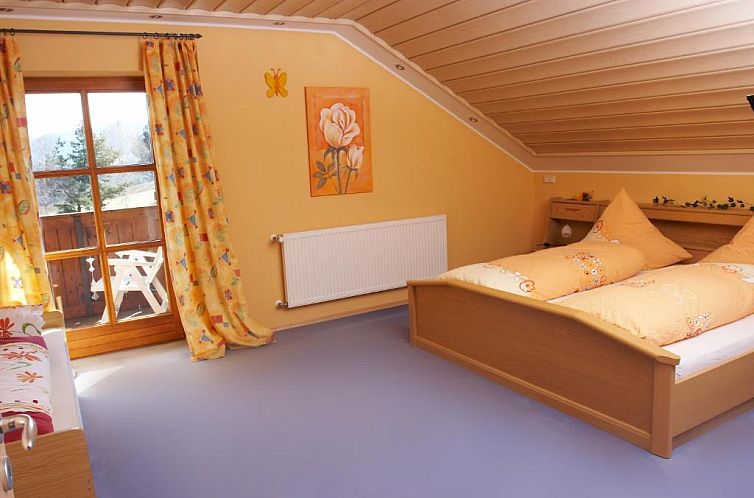Pension / Ferienwohnungen Ludwig