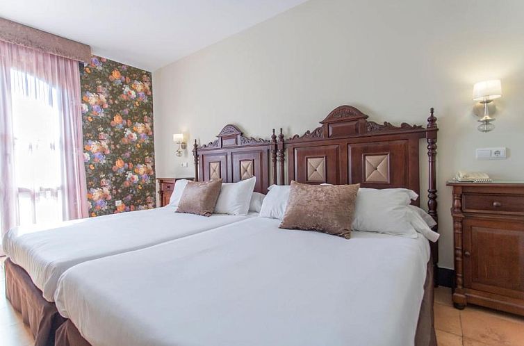 Hotel Rosaleda Don Pedro