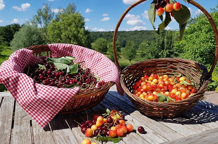 Buitenverblijf 't Herfse