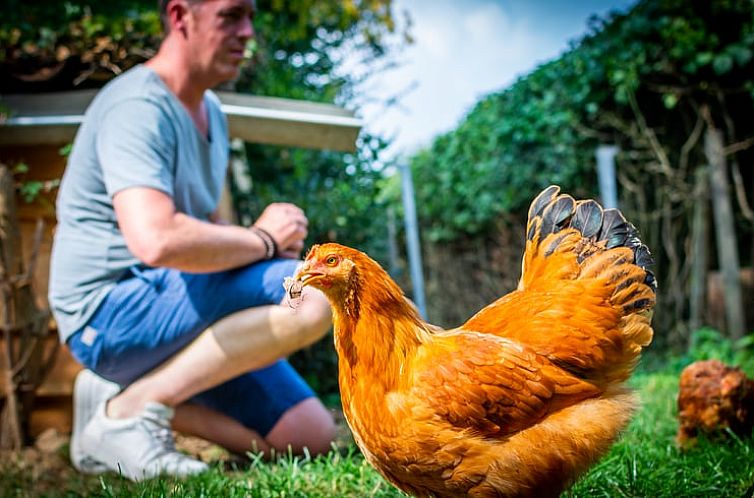 Vakantiehuisje in Valkenburg