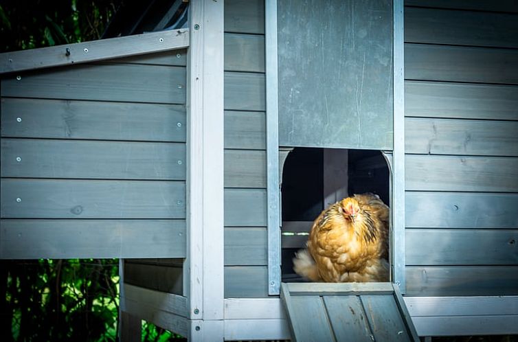 Vakantiehuis in Valkenburg