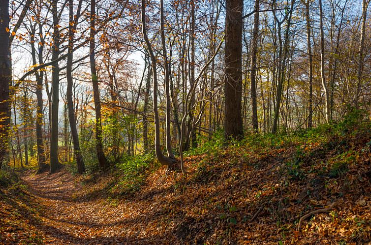 Vakantiehuis in Valkenburg