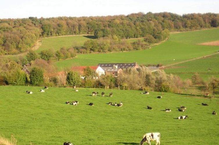 Uitzicht op groene heuvels bij Landgoed Karsveld appartement in Slenaken, Zuid Limburg.