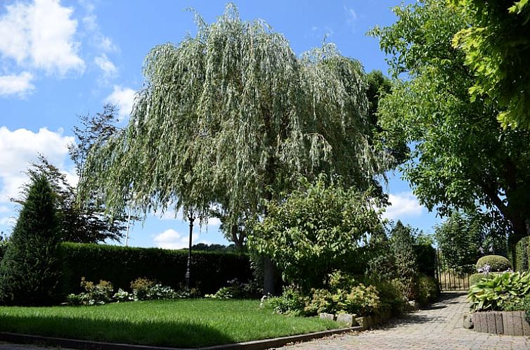 Vakantiehuis in Gulpen