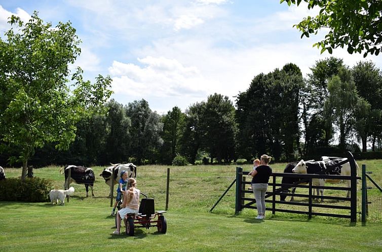 Vakantiehuis in Gulpen