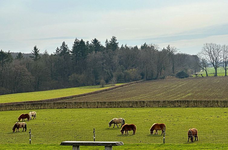 Vakantiehuis Vrijstaande 10 persoons