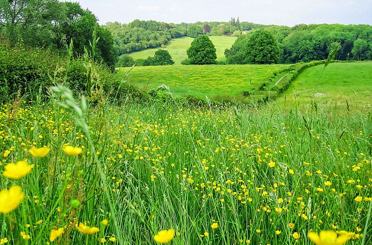 Vakantiehuis Vrijstaande 10 persoons