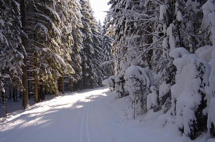 Ferienwohnungen Claus