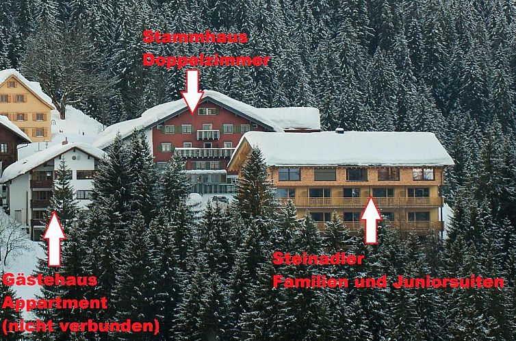 Adler Damüls Gasthof Hotel