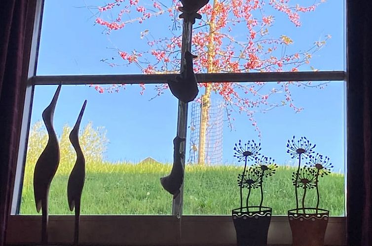 Vakantiehuis in Wijlre