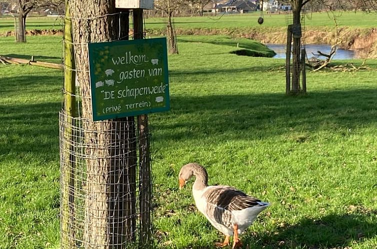 Vakantiehuis in Wijlre