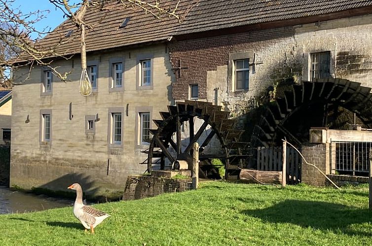 Vakantiehuis in Wijlre