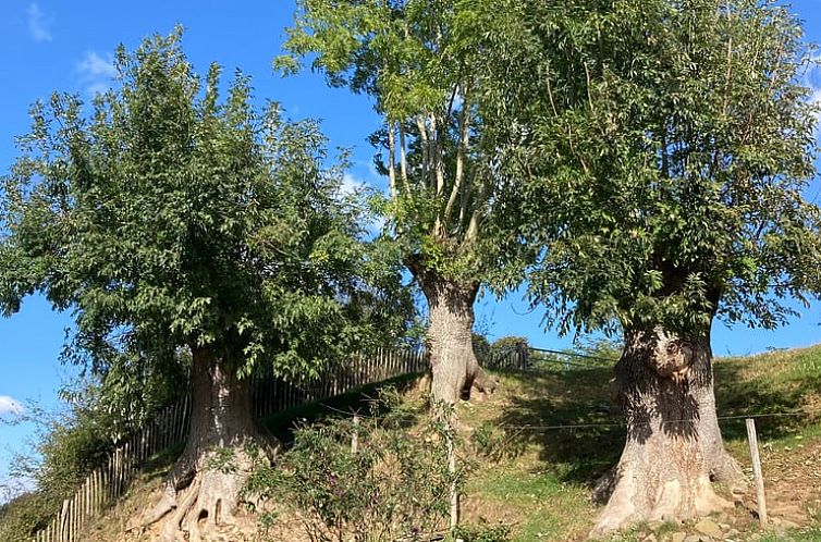 Vakantiehuis in Wijlre