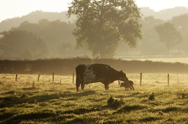 Vakantiehuisje in Epen