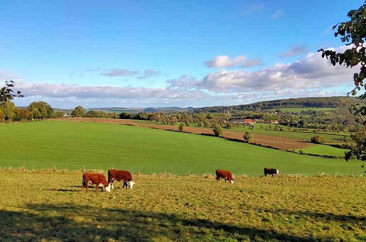 Vakantiehuis in Epen