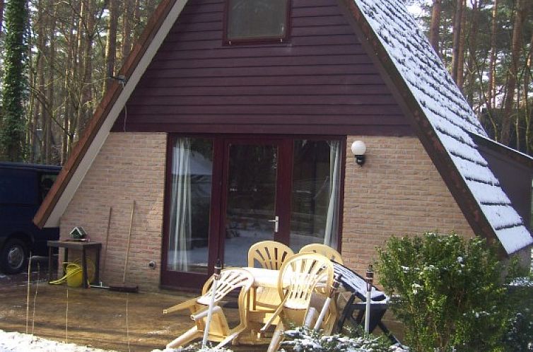 Charming vacation home Sunclass Sonnevijver in Sittard-Geleen, South Limburg, surrounded by snowy nature and an inviting terrace.