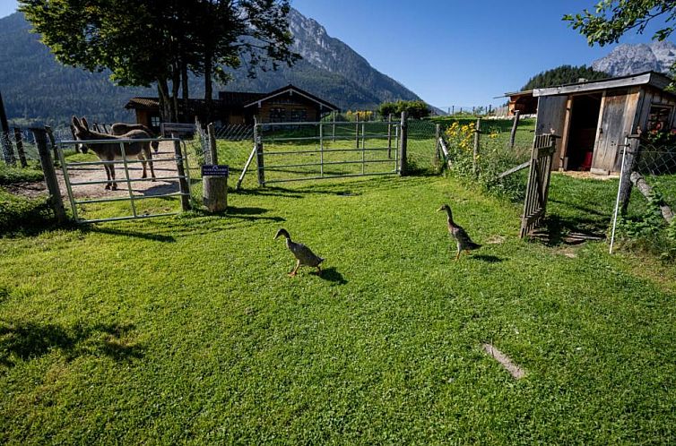 Gästehaus Hinterponholz