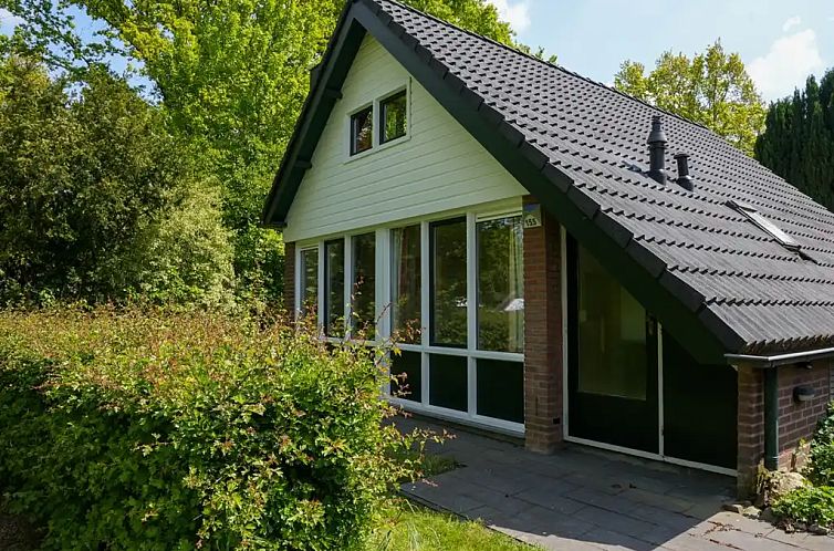 Top Limburg