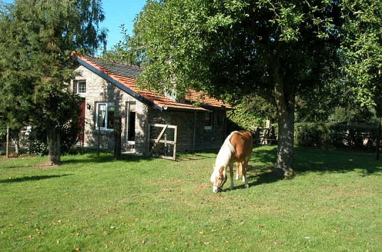 Vakantiewoning 'in de Boomgaard' in Oud Roosteren biedt een rustieke omgeving met grazende paarden in Midden Limburg.
