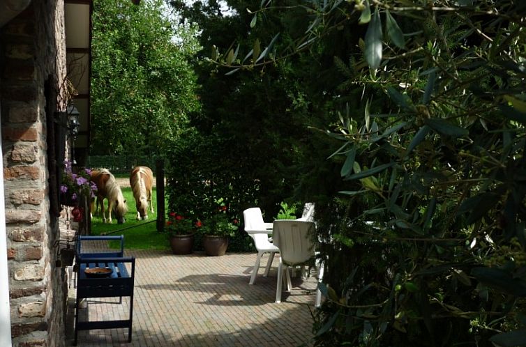 Vakantiewoning “in de Boomgaard” met open haard