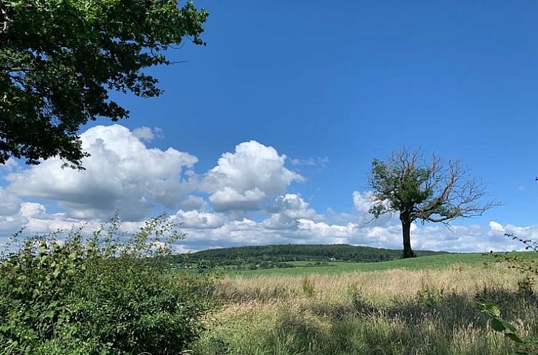 Vakantiehuis in Sint Geertruid