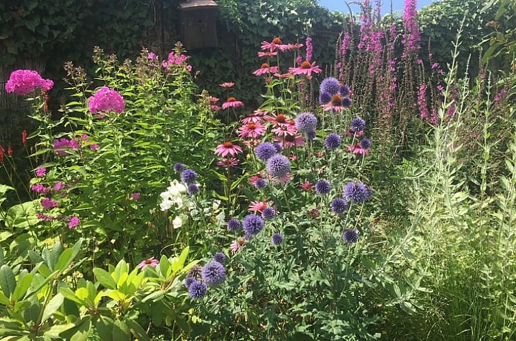 Vakantiehuis in Sint Geertruid