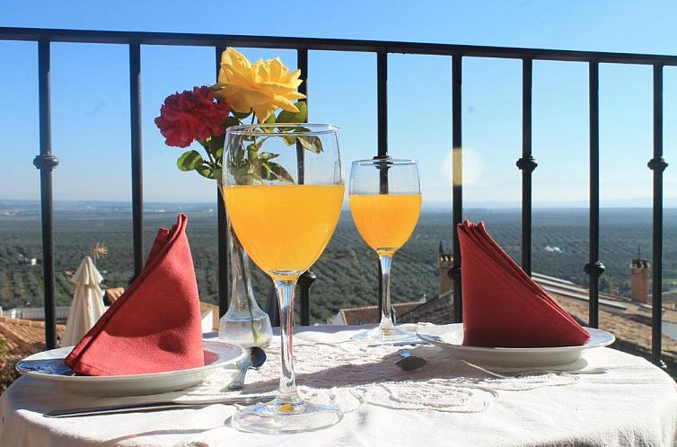 Hotel Palacio Guzmanes