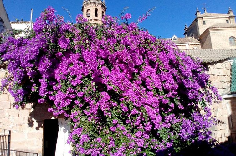 Hotel Palacio Guzmanes