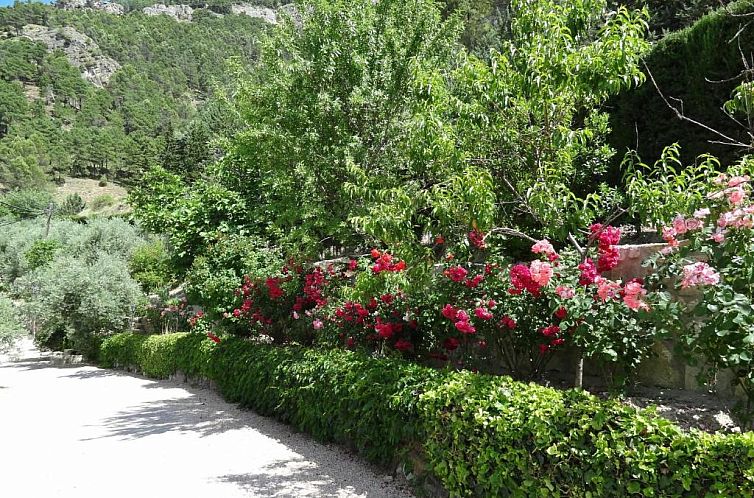 Apartamentos Arroyo Parrilla