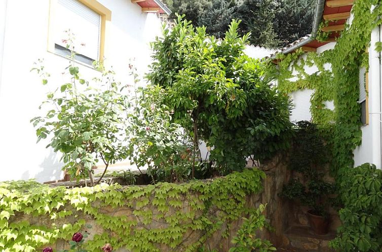 Apartamentos Arroyo Parrilla