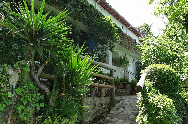 Apartamentos Arroyo Parrilla