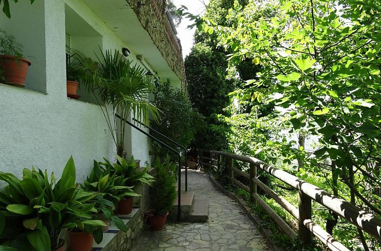 Apartamentos Arroyo Parrilla