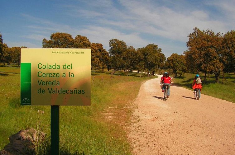 Apartamentos La Venta del Charco