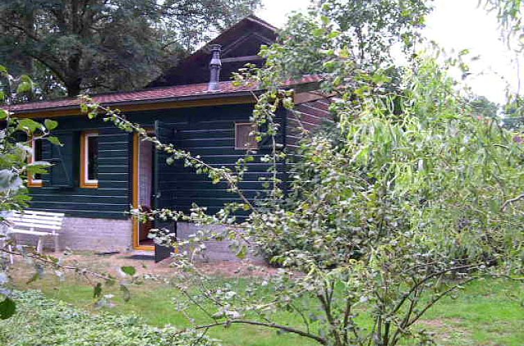 Rustikales Bed & Breakfast Het Optrekje in Lage Mierde, umgeben von ueppiger Natur in der Region Kempen in Nordbrabant.