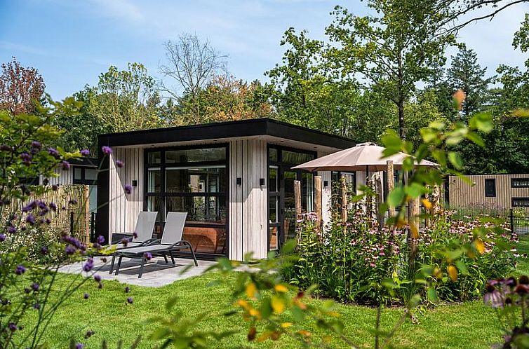 Bosvlucht 6 personen Wellness vakantiehuis met hottub in Lage Mierde, Kempen omgeven door groene natuur.