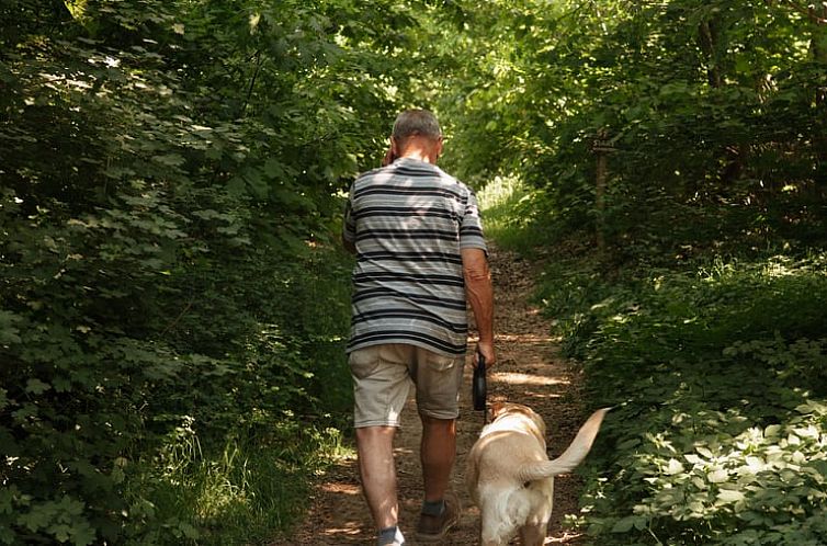 Vakantiehuis in Bergeijk